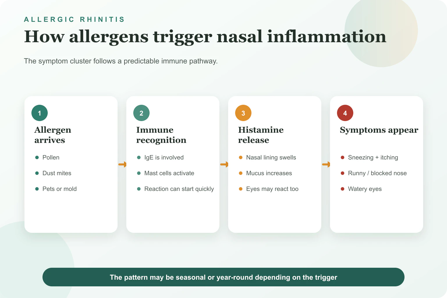 Diagram of allergic rhinitis showing allergens triggering histamine release and inflammation of the nasal lining.