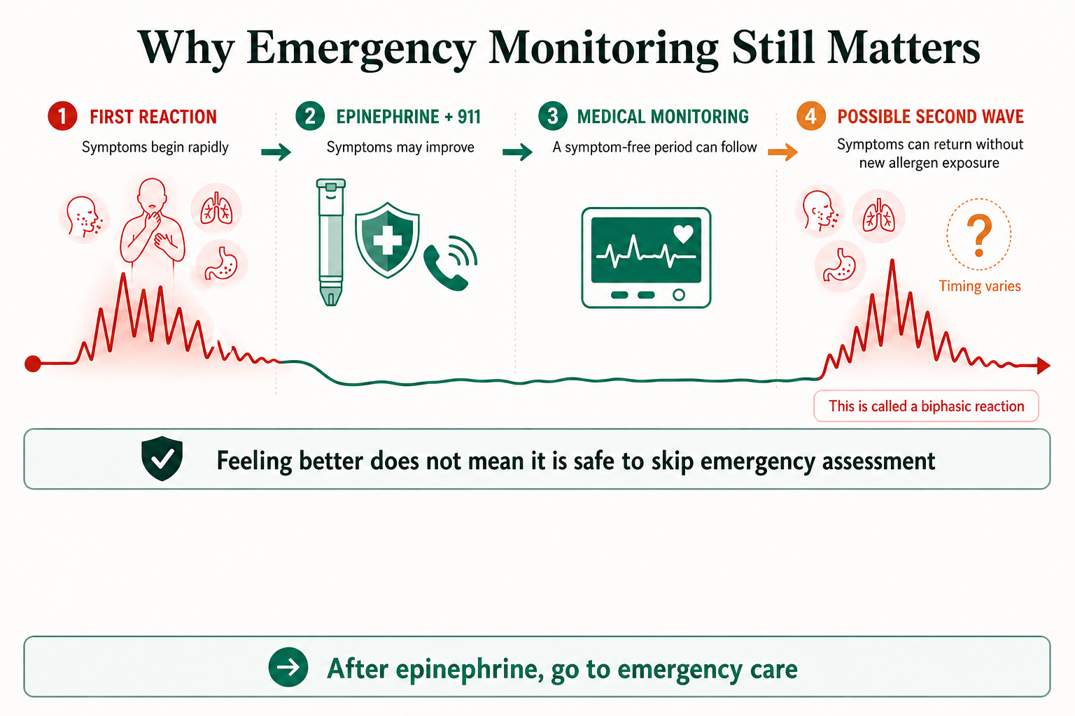 Biphasic anaphylaxis timeline showing an initial reaction, epinephrine and emergency response, symptom improvement, medical monitoring and a possible second wave without new exposure.