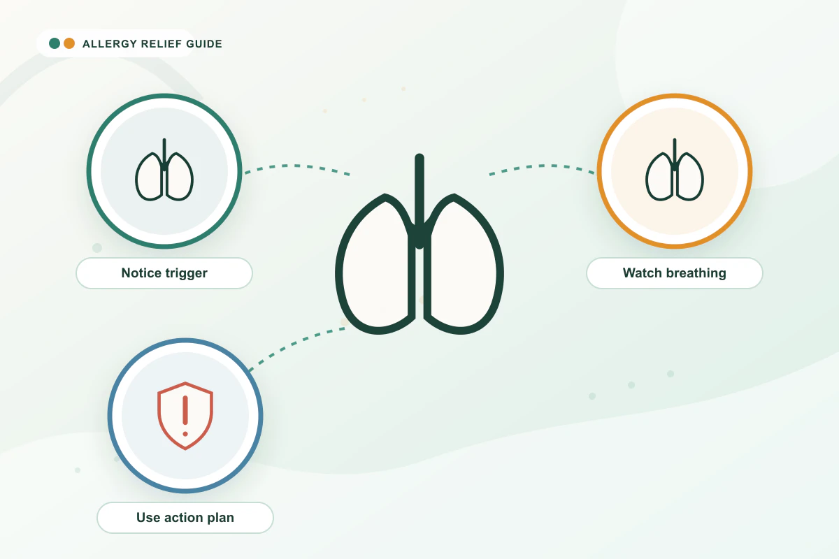Allergic Asthma Explained medical illustration with lungs, lungs, emergency guidance cues