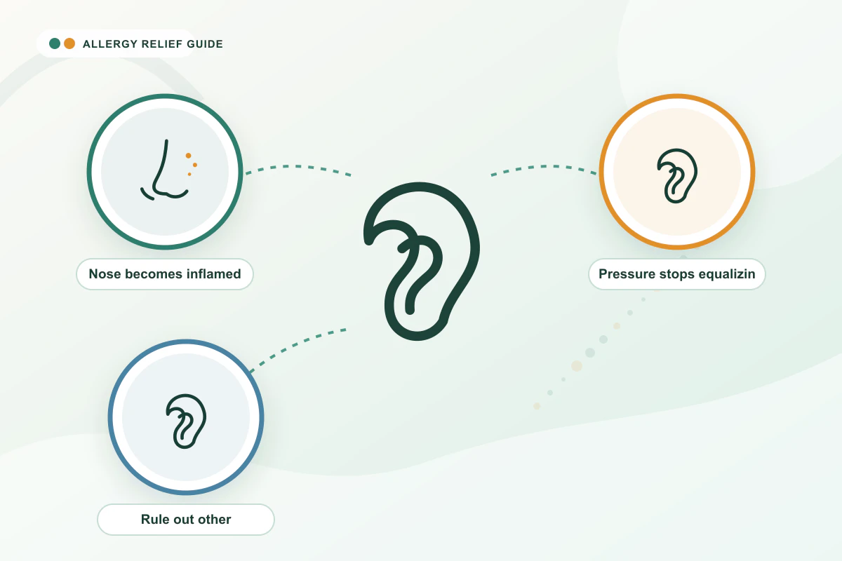 Allergies & Ear Pressure/Congestion medical illustration with nose, ear, ear guidance cues