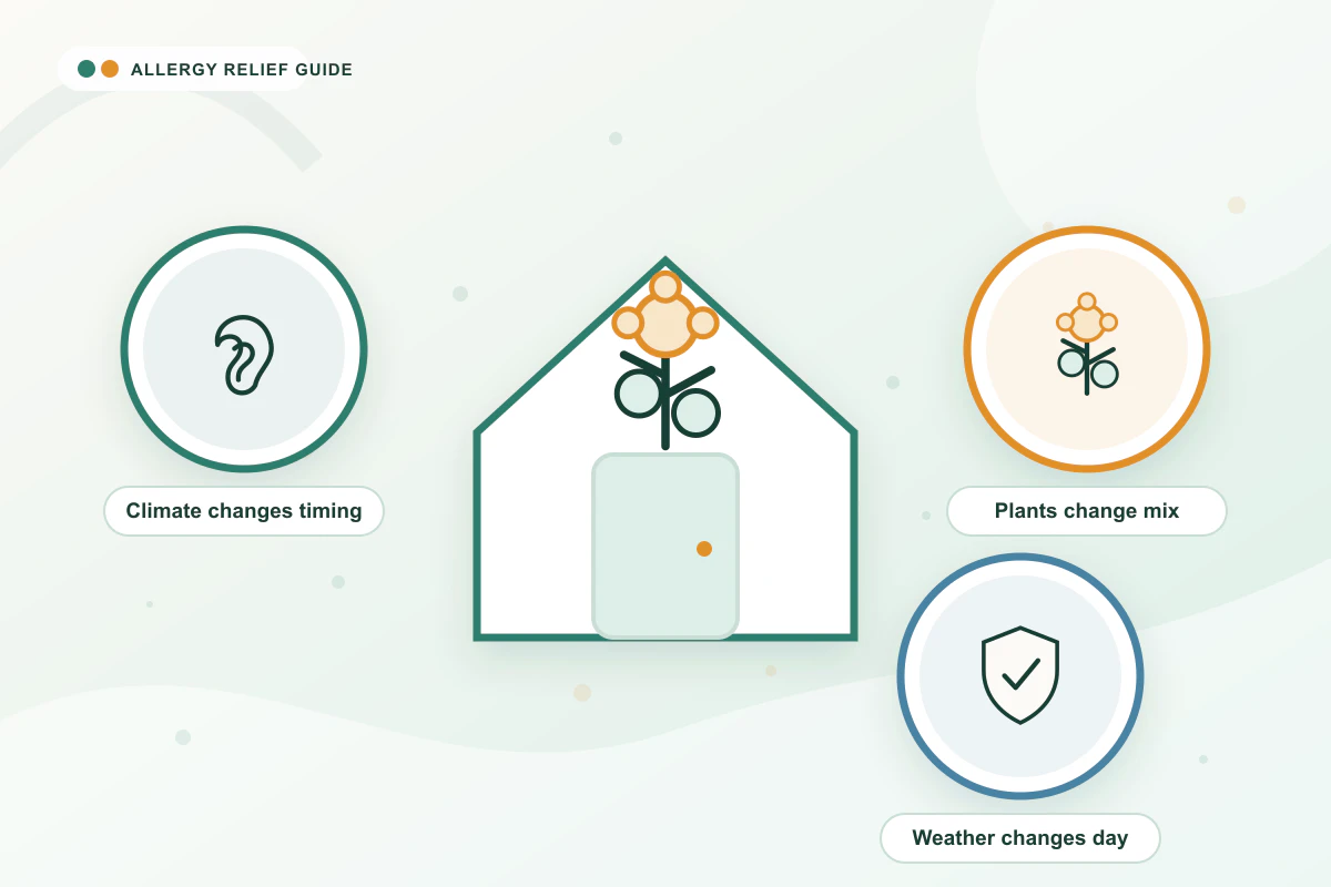 Allergy Season by State (USA Map) medical illustration with ear, pollen, shield guidance cues