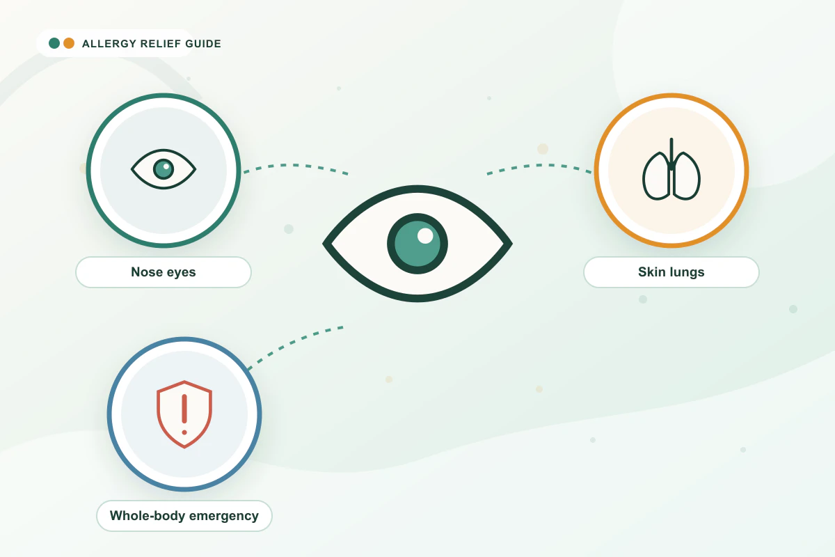 Allergy Symptoms in Adults medical illustration with eye, lungs, emergency guidance cues