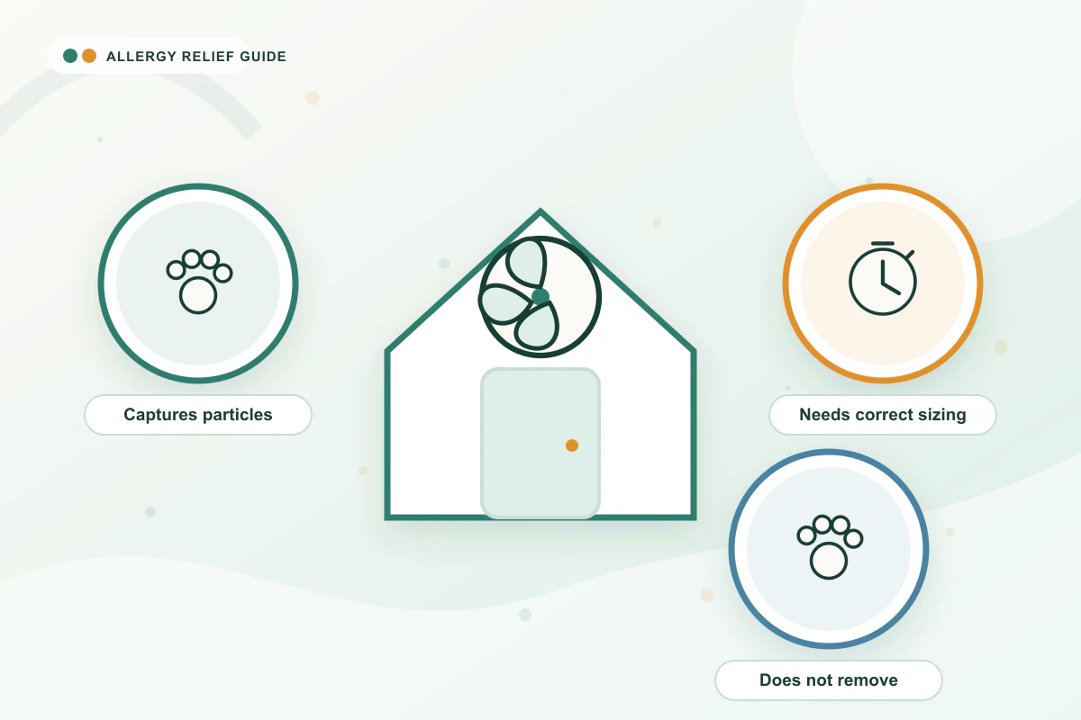 HEPA Filters & Allergies medical illustration with paw, clock, paw guidance cues