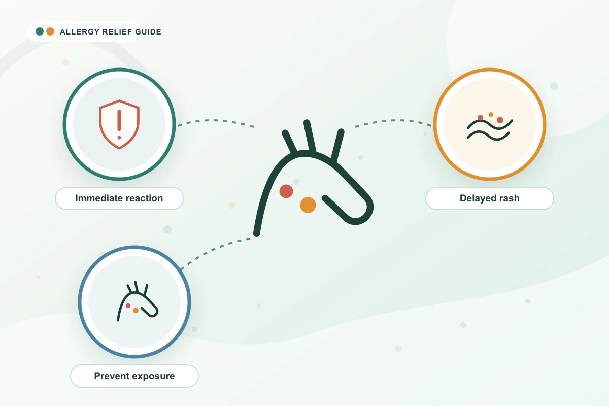 Latex Allergy medical illustration with emergency, skin, contact guidance cues