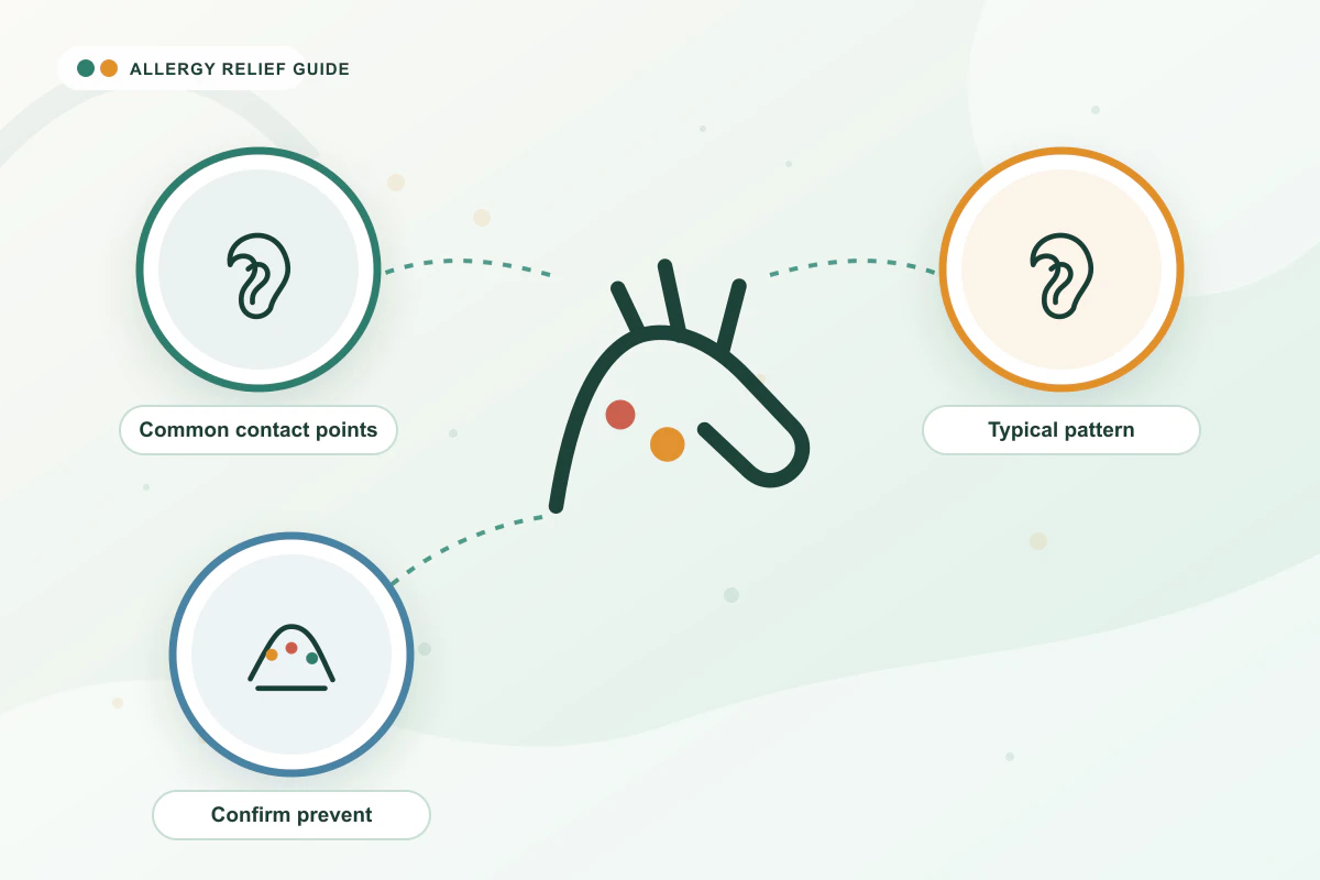 Nickel Allergy medical illustration with ear, ear, skin-test guidance cues