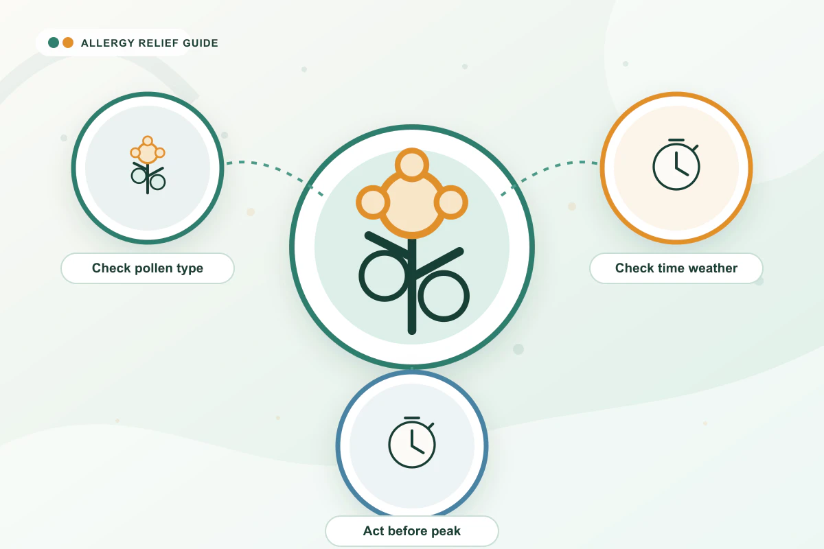 Pollen Count Explained medical illustration with pollen, clock, clock guidance cues
