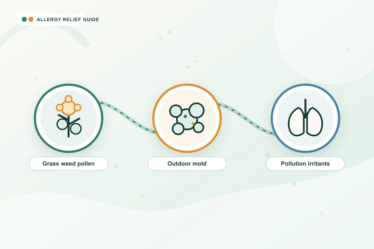 Summer Allergies Explained medical illustration with pollen, mold, lungs guidance cues