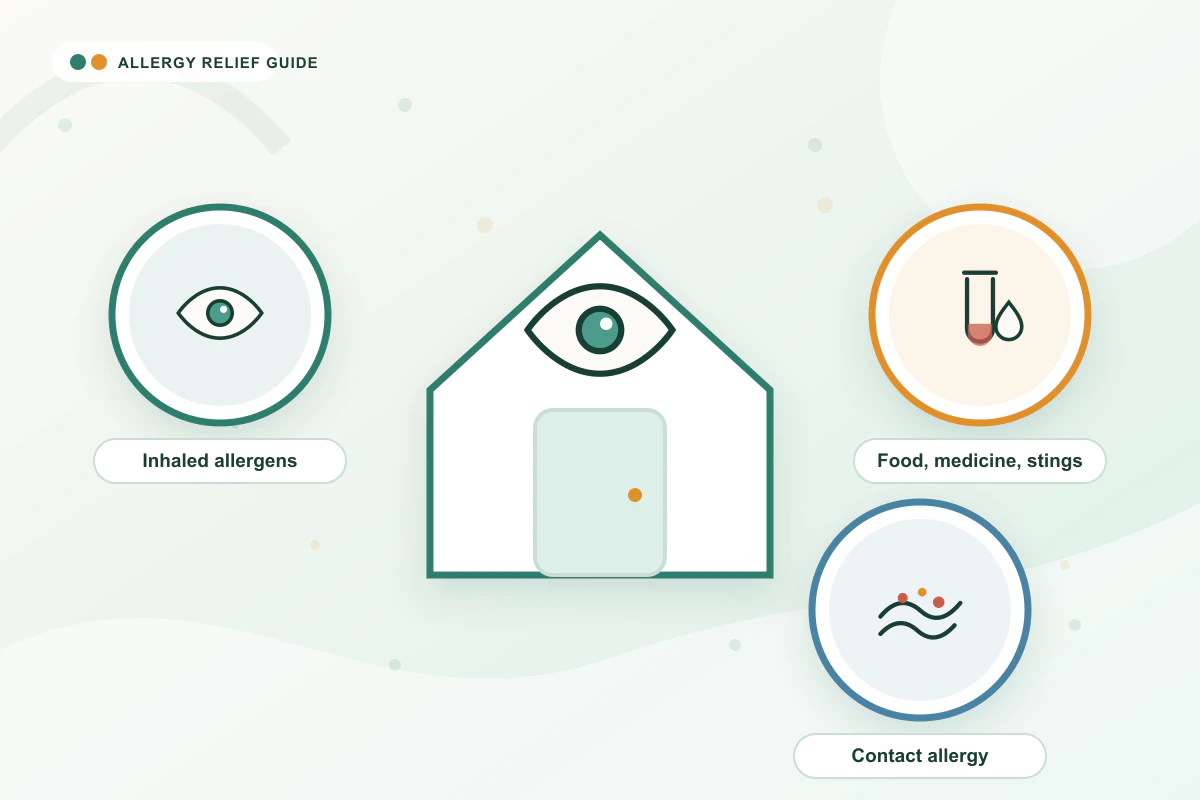 Types of Allergies: Complete Guide medical illustration with eye, blood, skin guidance cues