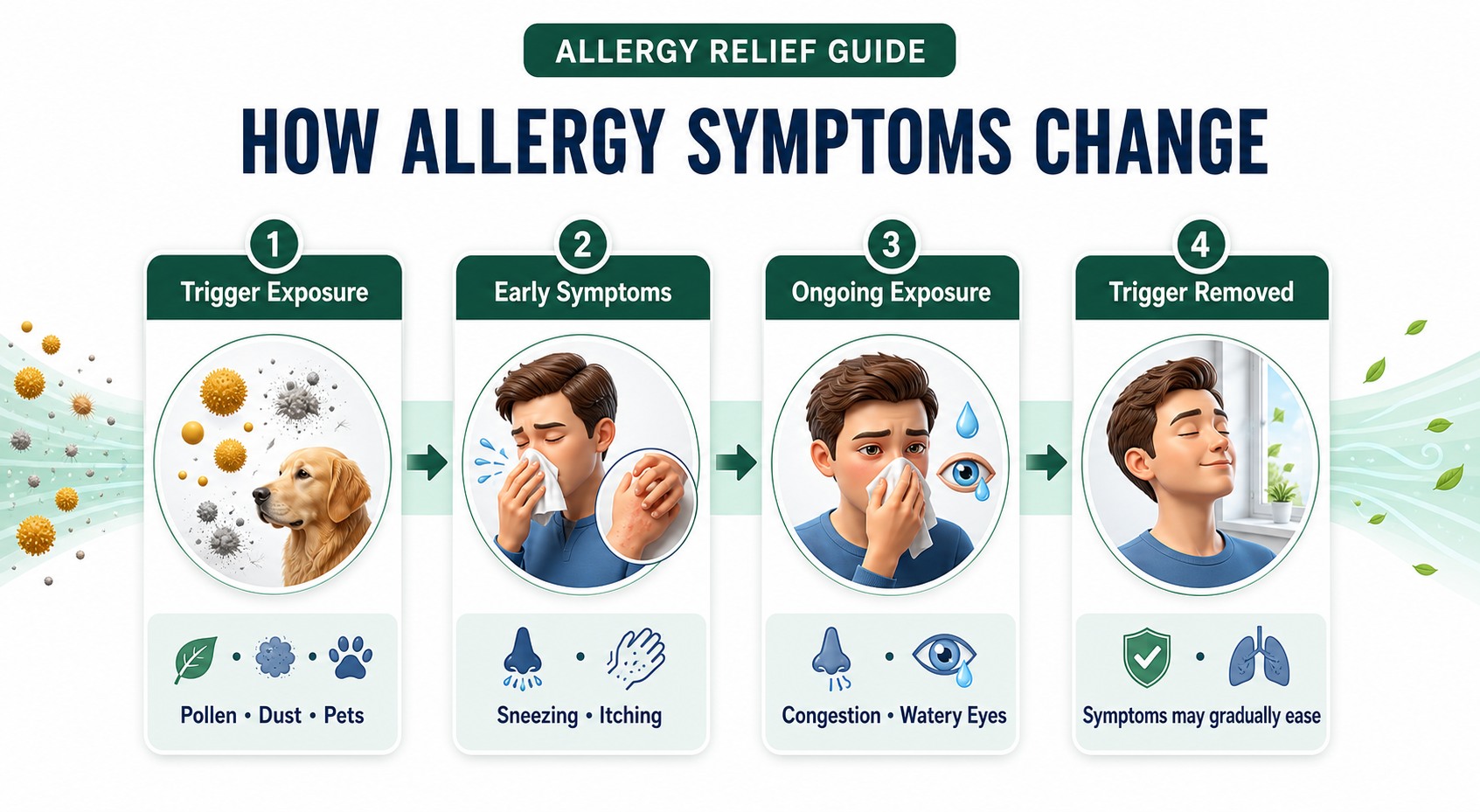 Timeline showing allergy trigger exposure, early symptoms, ongoing symptoms and gradual improvement after the trigger is removed.
