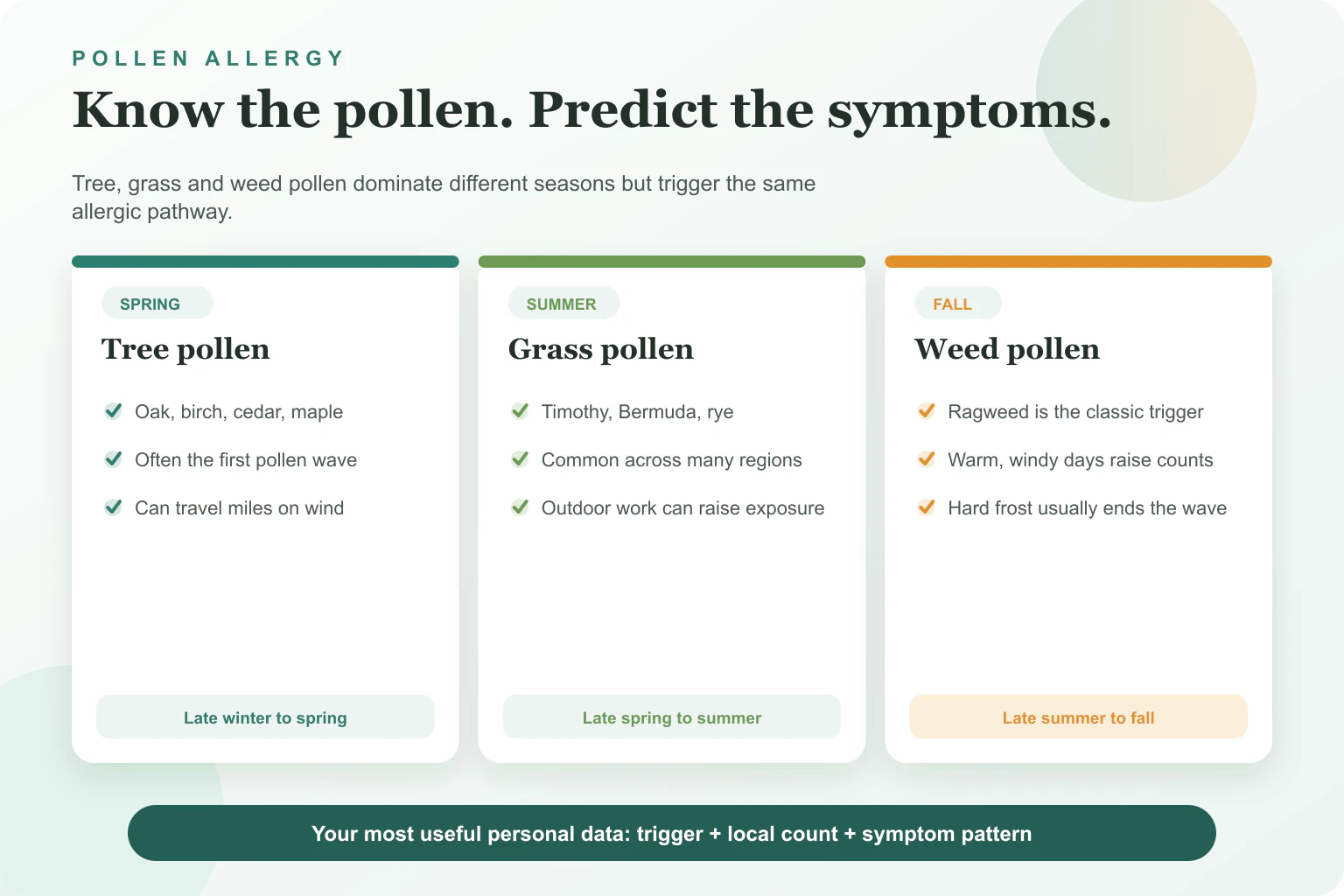 Tree, grass and weed pollen allergy seasons with trigger examples and planning guidance.