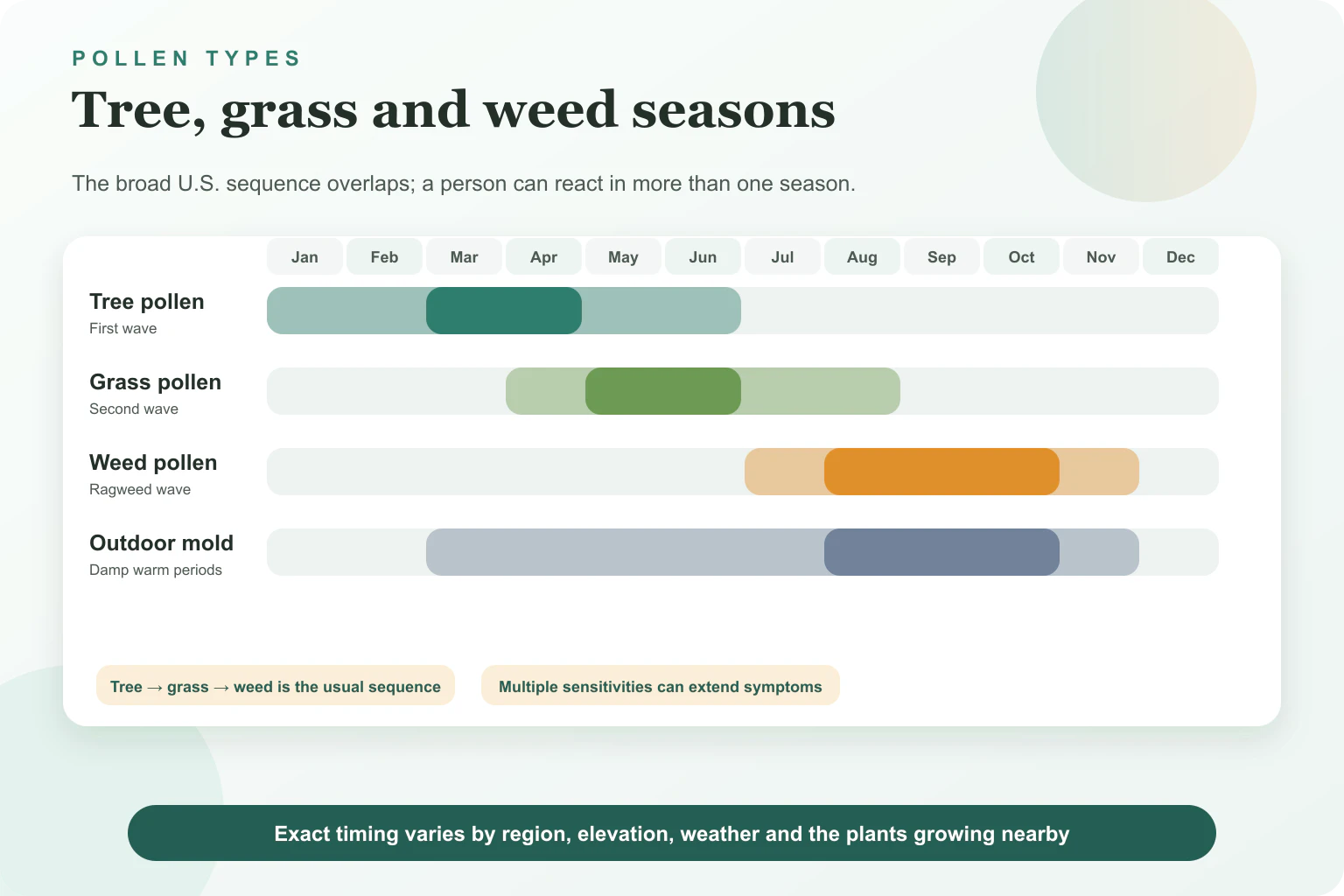 Year-round timeline showing typical tree, grass, weed pollen and outdoor mold seasons across the United States.